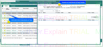 2.3. Comprobantes de Pago